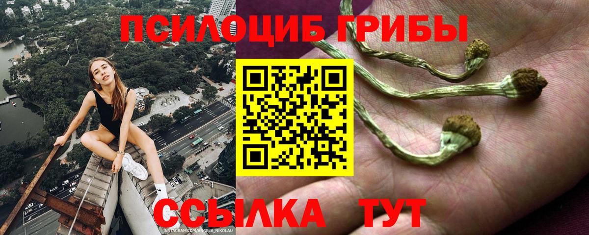 Галлюциногенные грибы Cubensis Альметьевск
